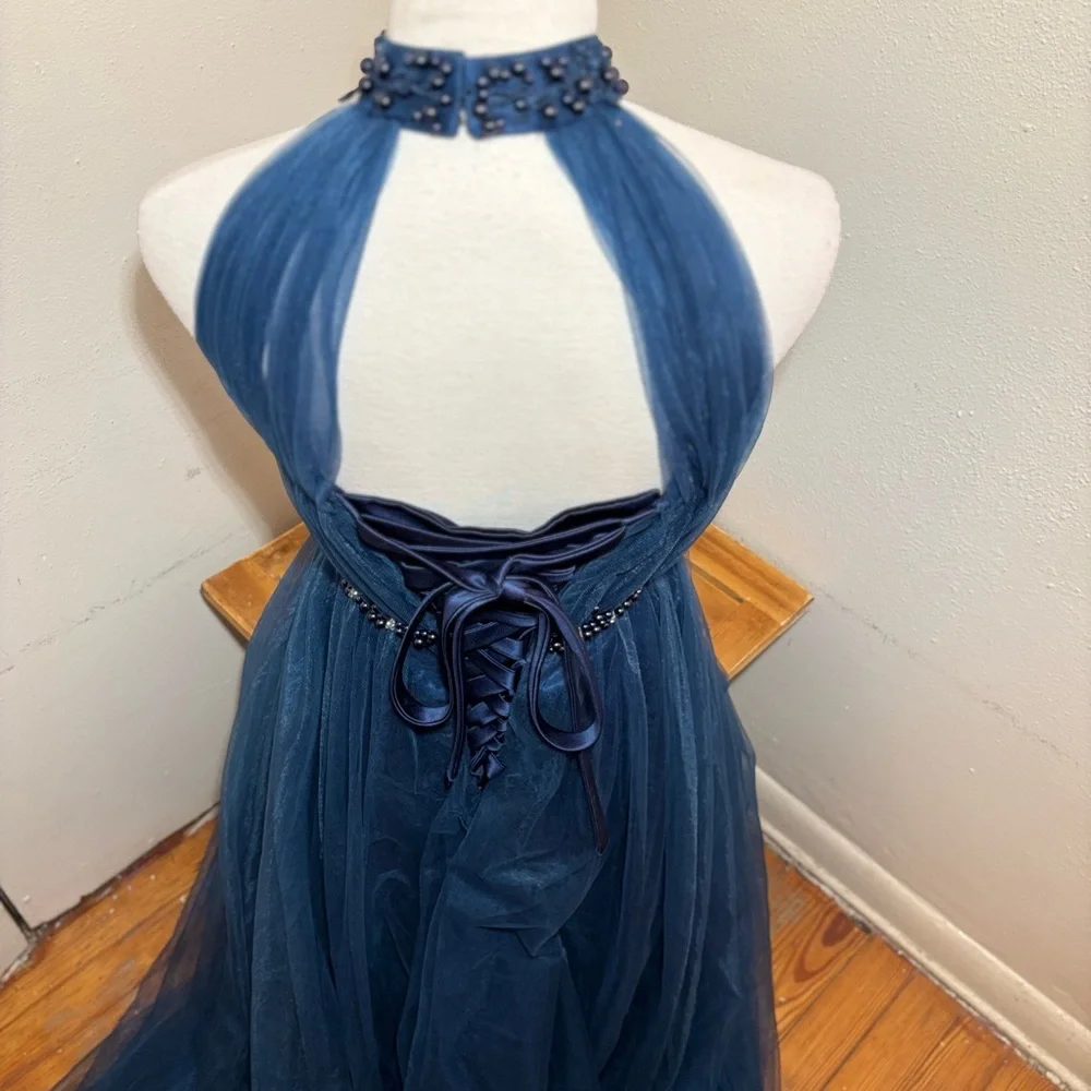 Gorgeous Jeweled Evening Gown Dress - Picture 10 of 16